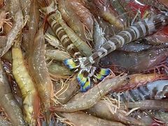 -巽寮印象美食部落餐厅·海鲜·地方特色菜(惠州体验店)