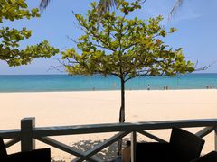 -九毛九西北菜(大东海店)