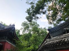 -北京植物园南门售票处