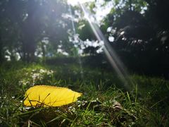 -百林公园-两江幸福广场