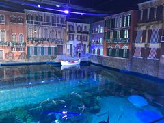 -华夏文旅海洋公园