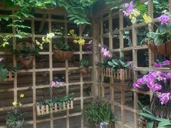 -南山植物园