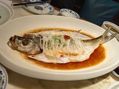 传统清蒸大白鱼-淮扬府(安定门店)
