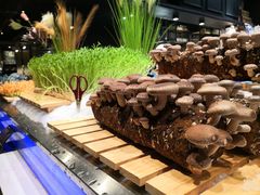 -V-ONE西雅图海鲜自助餐厅(仓山万达广场店)