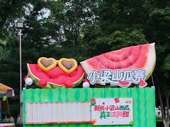 -沈阳奥林匹克体育中心