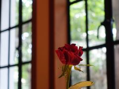 景观位-玫瑰厅上海菜(兴国路店)