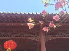 -保定直隶总督署博物馆