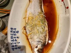 清蒸白鱼-萬國春·中菜馆(颐和公馆店)