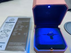 -钻石小鸟钻戒婚戒定制(石路店)