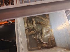 -潇湘华天大酒店-湘·悦美食街(芙蓉中路店)