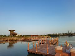 -芒洲湿地公园