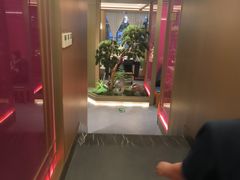 -老家水饺濮阳菜(巴黎街店)
