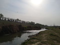 -洨河生态公园