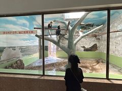 -石家庄市动物园