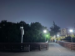 -宝安西湾红树林湿地公园