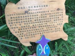 -呀路古热带植物园-恐龙馆