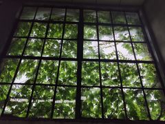 -半岛1919创意园区