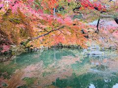 -醍醐寺