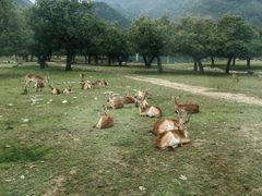-西安秦岭野生动物园