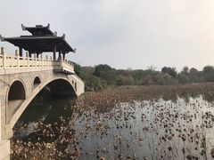 -东湖落雁景区