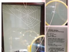 -上海市工艺美术博物馆