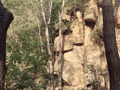 -大岭沟猕猴桃谷风景区