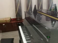 -爱琴海琴行(弘阳广场店)