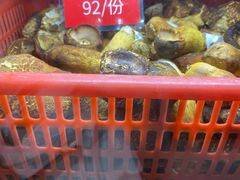 -太婆天府山珍酒楼(亚运村店)