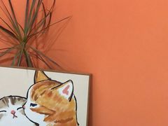 -猫爷宠物生活馆·撸猫馆