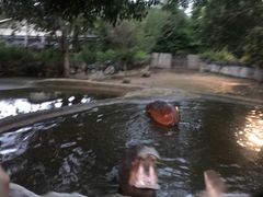 -清迈夜间动物园