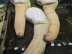 -黄沙水产交易市场