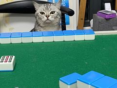 -瑞鹏宠物医院·超声·骨科·奇麟分院(蜀都万达店)