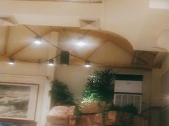 -金河半岛园林酒家(金融城店)