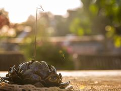 -至尚形象·化妆服饰搭配礼仪培训