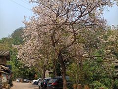 -荣发马店