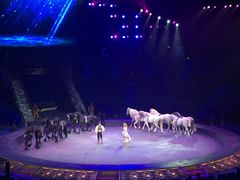 -珠海横琴长隆《卡卡虎奇遇记》