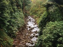 -凤栖山