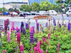 -杭州师范大学仓前新校区-体育场