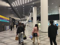 -望京西(地铁站)
