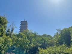 -牛首山文化旅游区