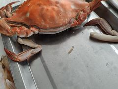 -渔民船说·北塘海鲜·天津菜·海肠捞饭(北塘古镇店)