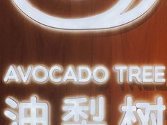 -油梨树AVOCADO TREE(嘉里中心店)