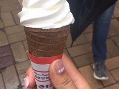 -富豪雪糕车流动点(尖沙咀店)