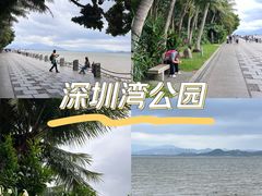-深圳湾公园(南山区)