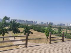 -汉长安城未央宫国家考古遗址公园