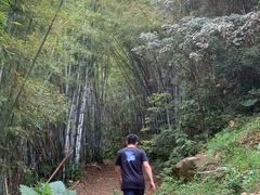 -广州白江湖森林公园