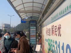 -午潮山国家森林公园