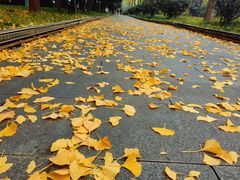 -木塔寺遗址生态公园