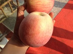 iphone_upload_pic-加顺农场餐厅