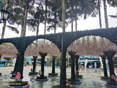 -海合安成都极地海洋公园